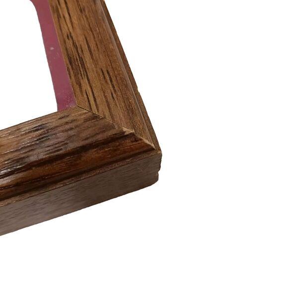 VNT Legend Of The Sand Dollar Maplewood Frame RED Shadowbox Decor Art Coastal - Picture 15 of 16